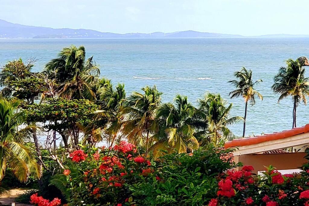 Portobello Palmanova, Palmas Del Mar, Humacao, Pr Exteriér fotografie